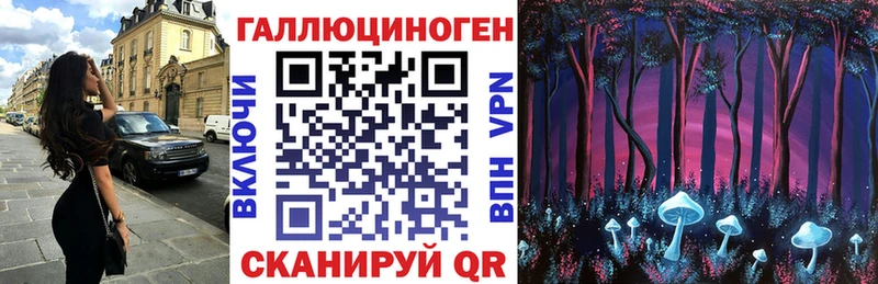 Купить закладки  Кирово-Чепецк  Псилоцибиновые грибы Magic Shrooms 